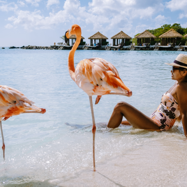 Aruba Off the Beaten Path: Uncover Hidden Beaches, Secret Spots, and Less-Visited Natural Wonders